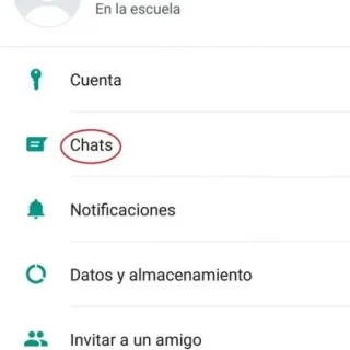 Primer Paso Primer Paso