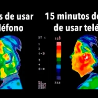 ¿Qué se está haciendo a modo prevención?