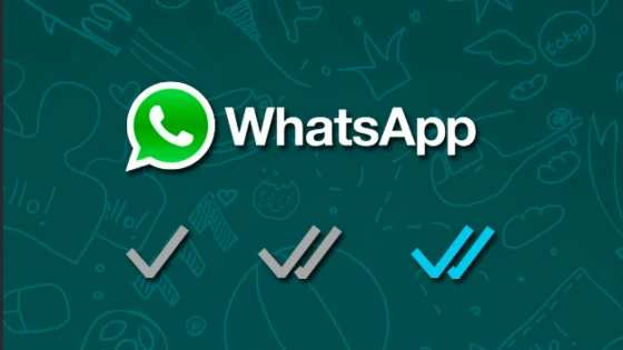 WhatsApp ahora avisa si leyeron el mensaje. Algunas opciones para evitarlo