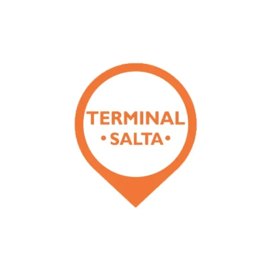 Logo Terminal de Salta en Argentina