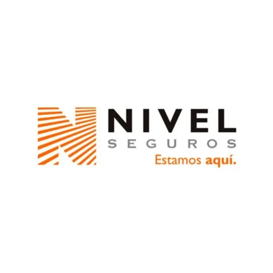 Logo Nivel Seguros en Argentina